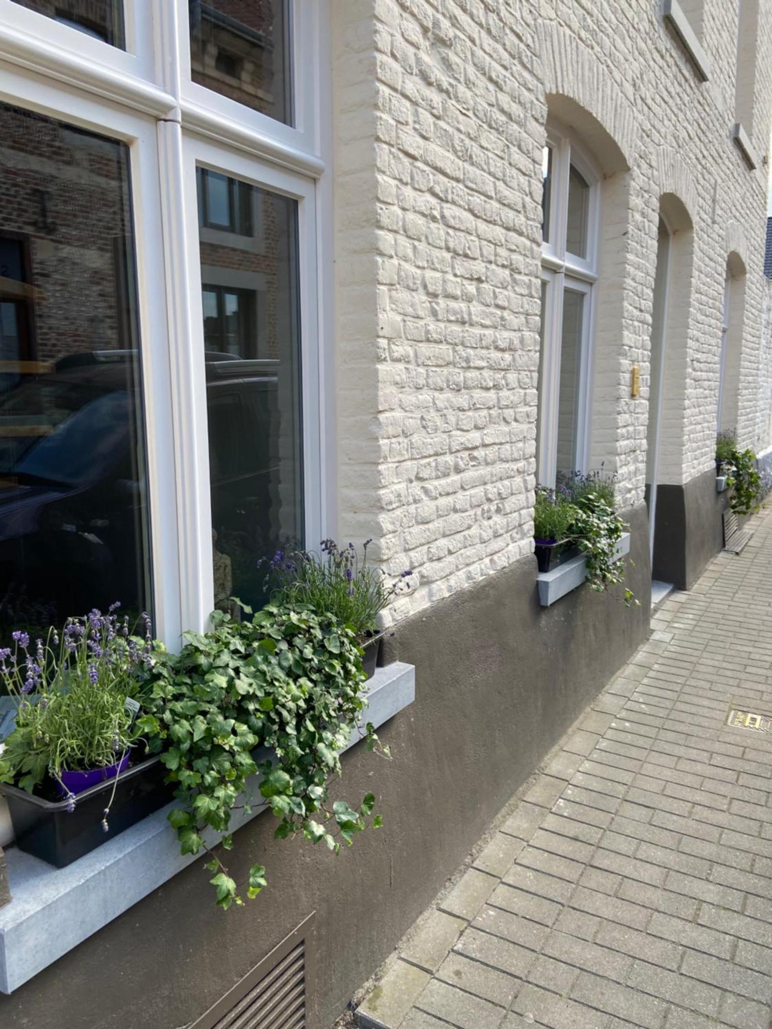 Begijnhofstudio'S Tongeren Bagian luar foto